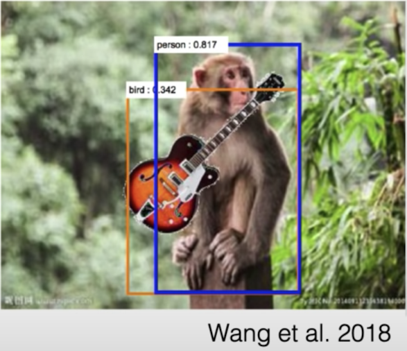 A digitally altered image of a monkey in a tropical environment with a guitar. Surrounding the monkey is a rectangle with the label “Person”  for the purpose of highlighting an algorithm's identification of the monkey as a person. A smaller rectangle with the label “Bird” shows the algorithm’s identification of the guitar as a bird.